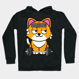 Cute orange cat is exercising Hoodie